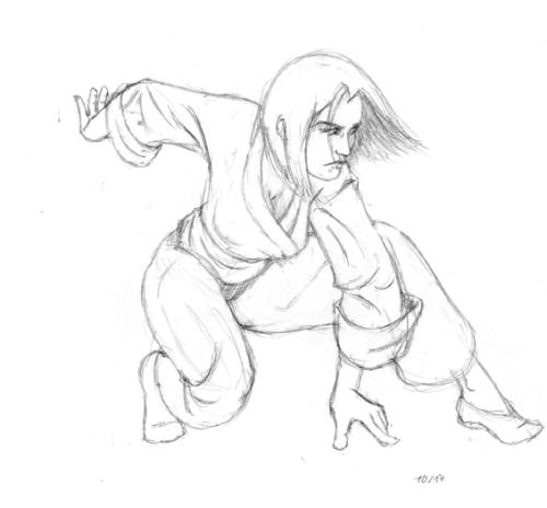 pose kung fu 2